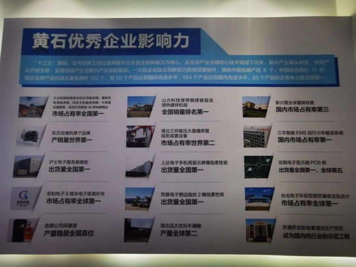 黄石首个科技中介服务盛会武汉开幕，搭建区域科创资源对接平台